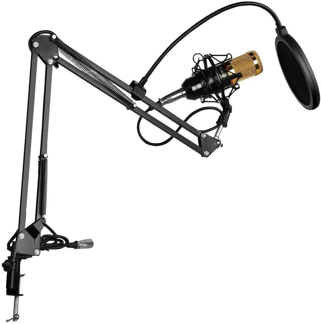 Professional Condenser Microphone - Podcast Mic Set Condenser Microphone With Rechargeable Auxiliary Background For Karaoke Singing, Youtube Recording Mic Set For Youtube | Mic Kit